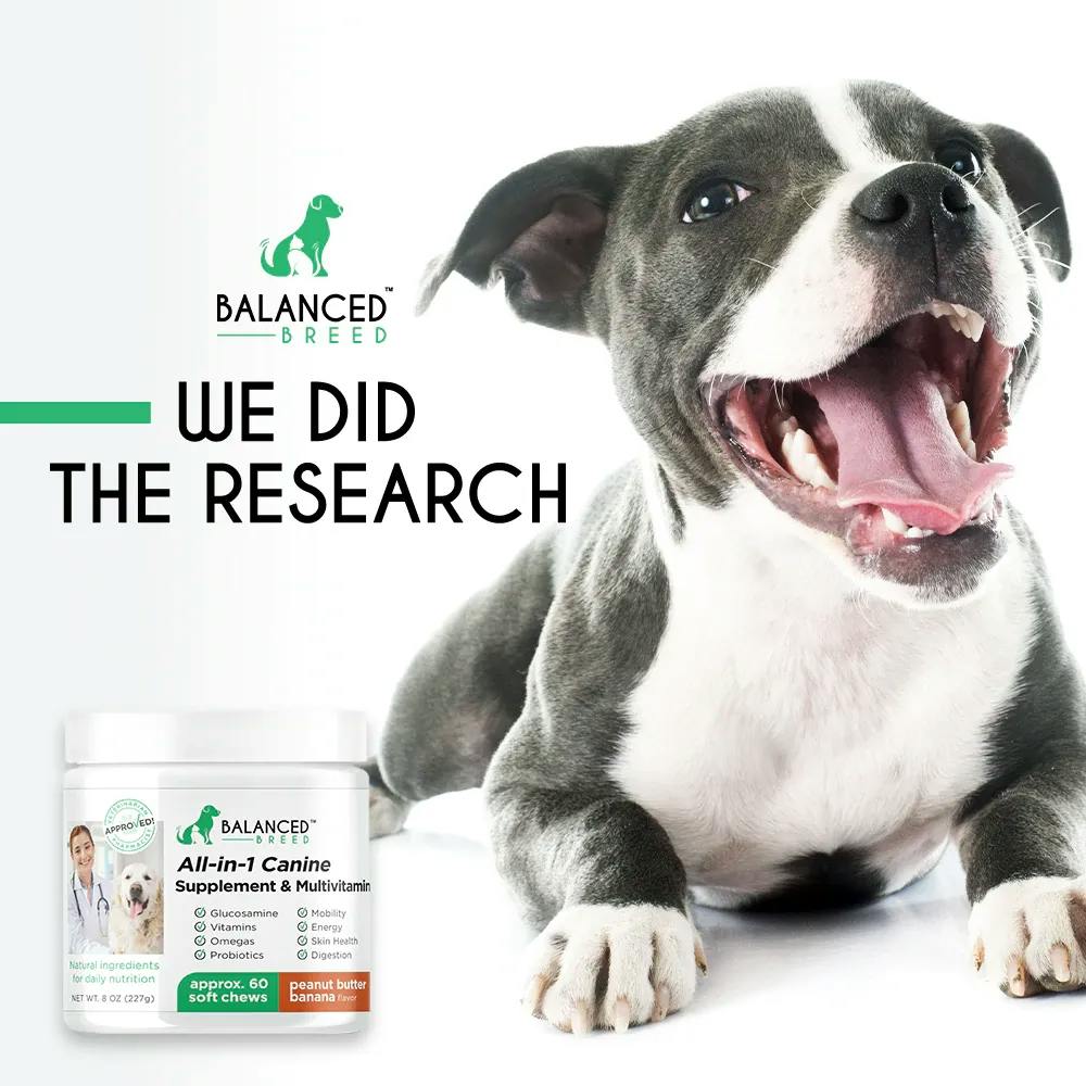 Balanced Breed: All-in-one dog supplements