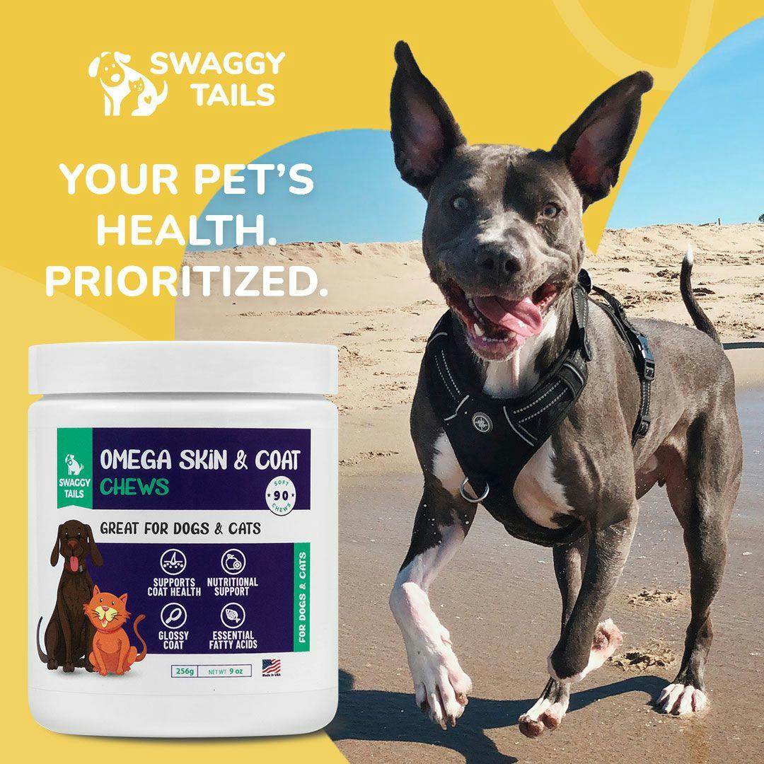 Swaggy Tails - Daily chews for your pet's daily health.