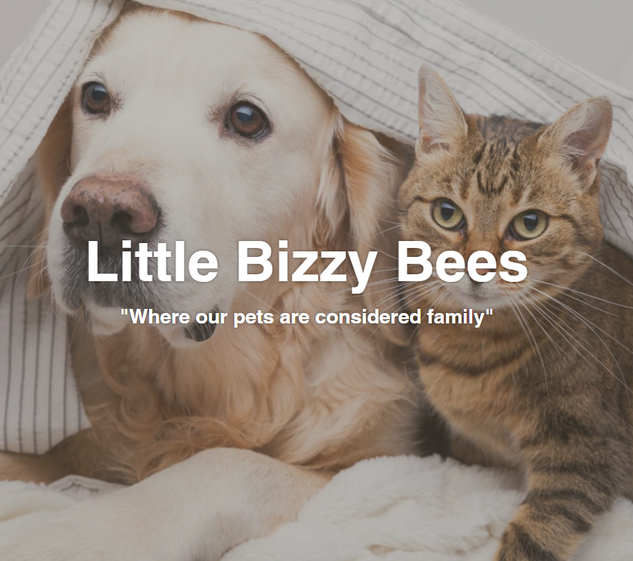 Look Your Best with Little Bizzy Bees