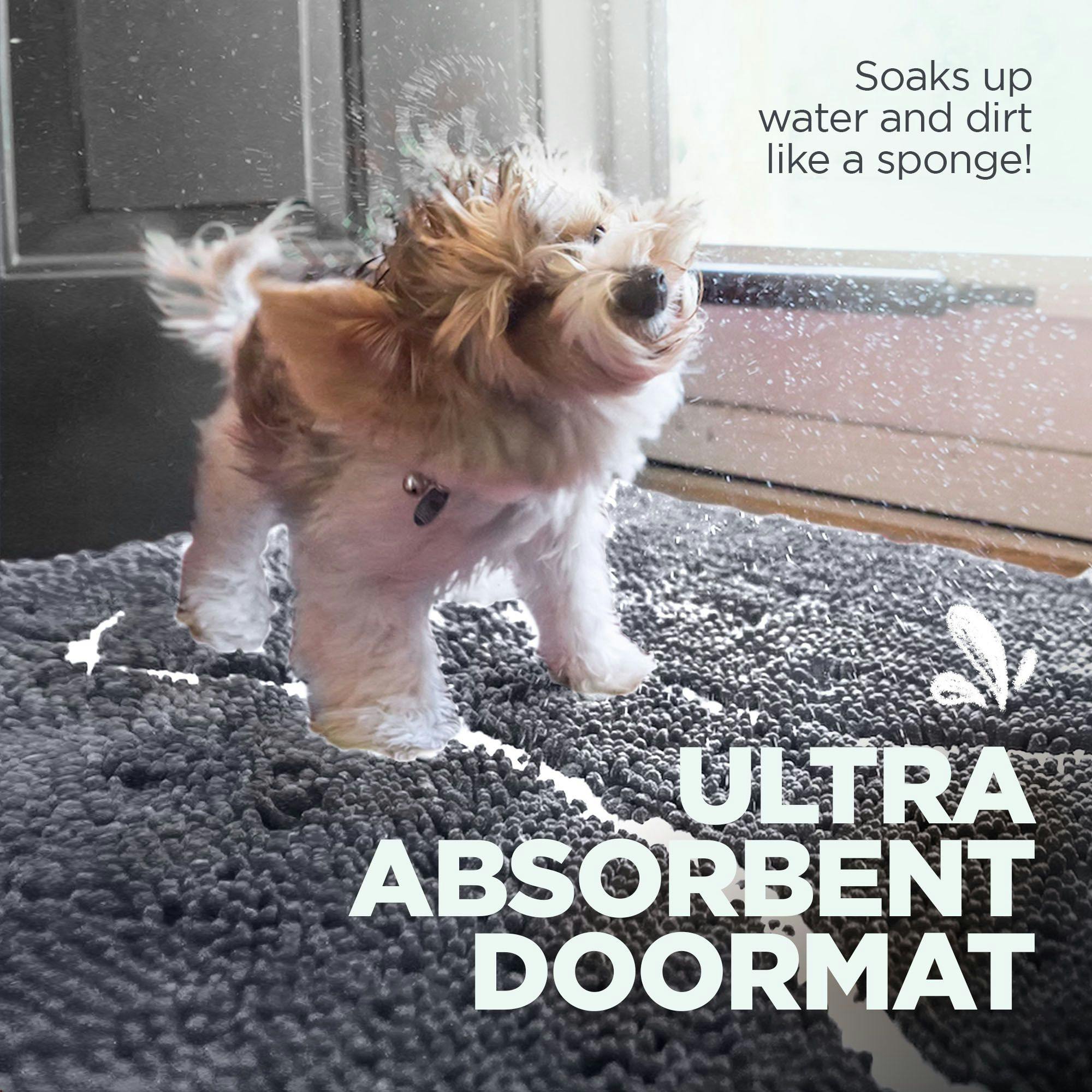 Showcase the Soggy Doggy Doormat!