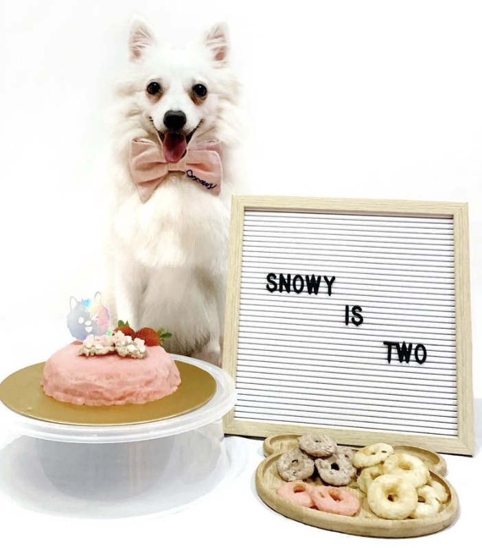 4 Simple Dog Treat Recipes To Make For Your Furkid + DIY Barkday Cake!