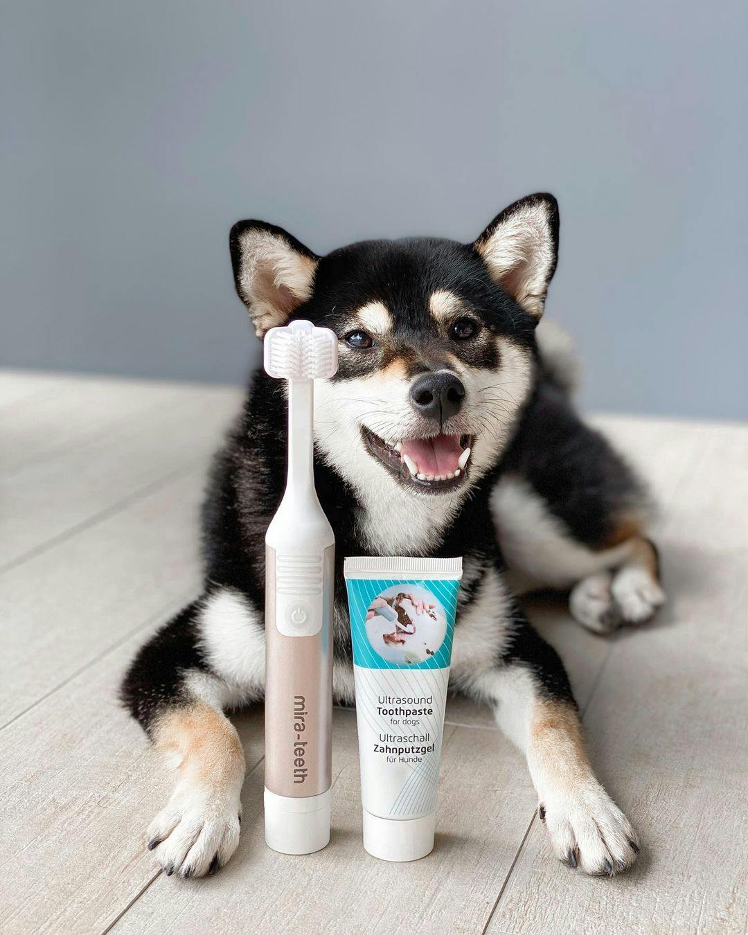 [Product Review] Mira-Pet Ultrasound Toothbrush