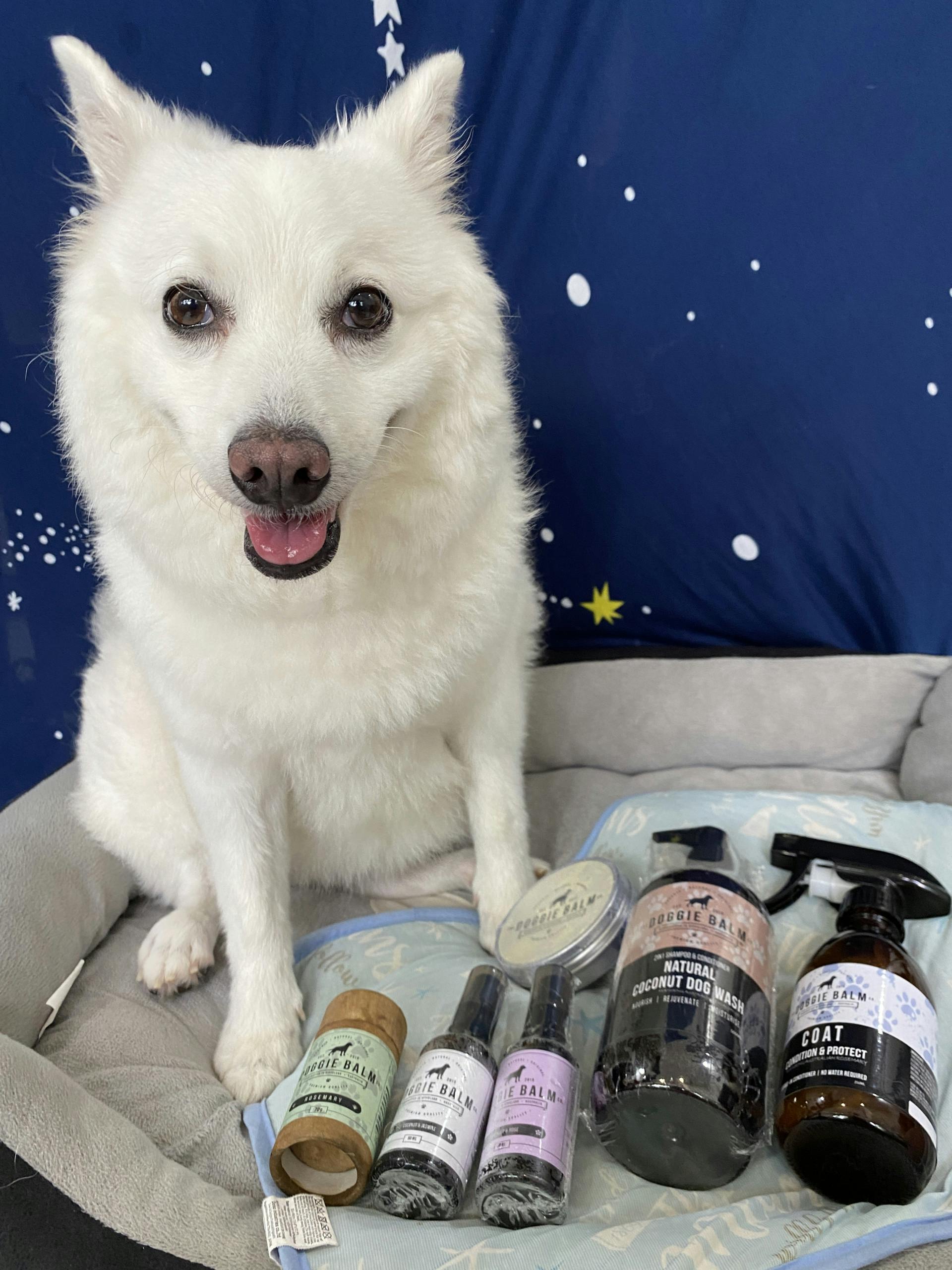 Say Goodbye to Buyer’s Remorse with Pawjourr Sampling!