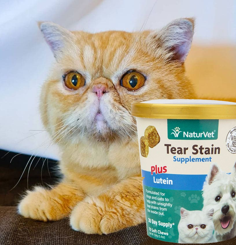 I Tried out Naturvet Tear Stains Supplements for a Week! – Suitable for Cats and Dogs