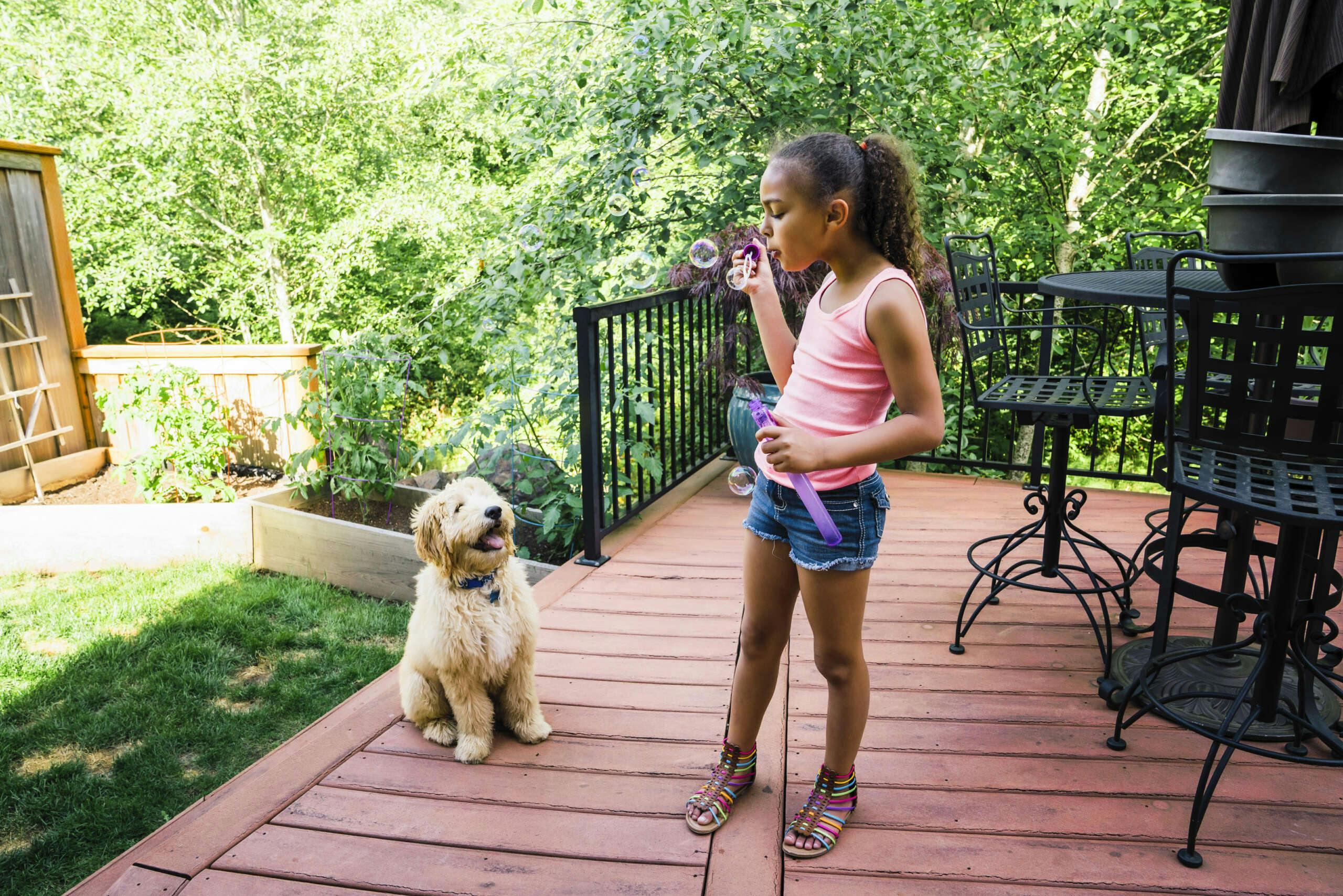 3 Easy and Effective Ways to Make a Dog-Friendly Backyard