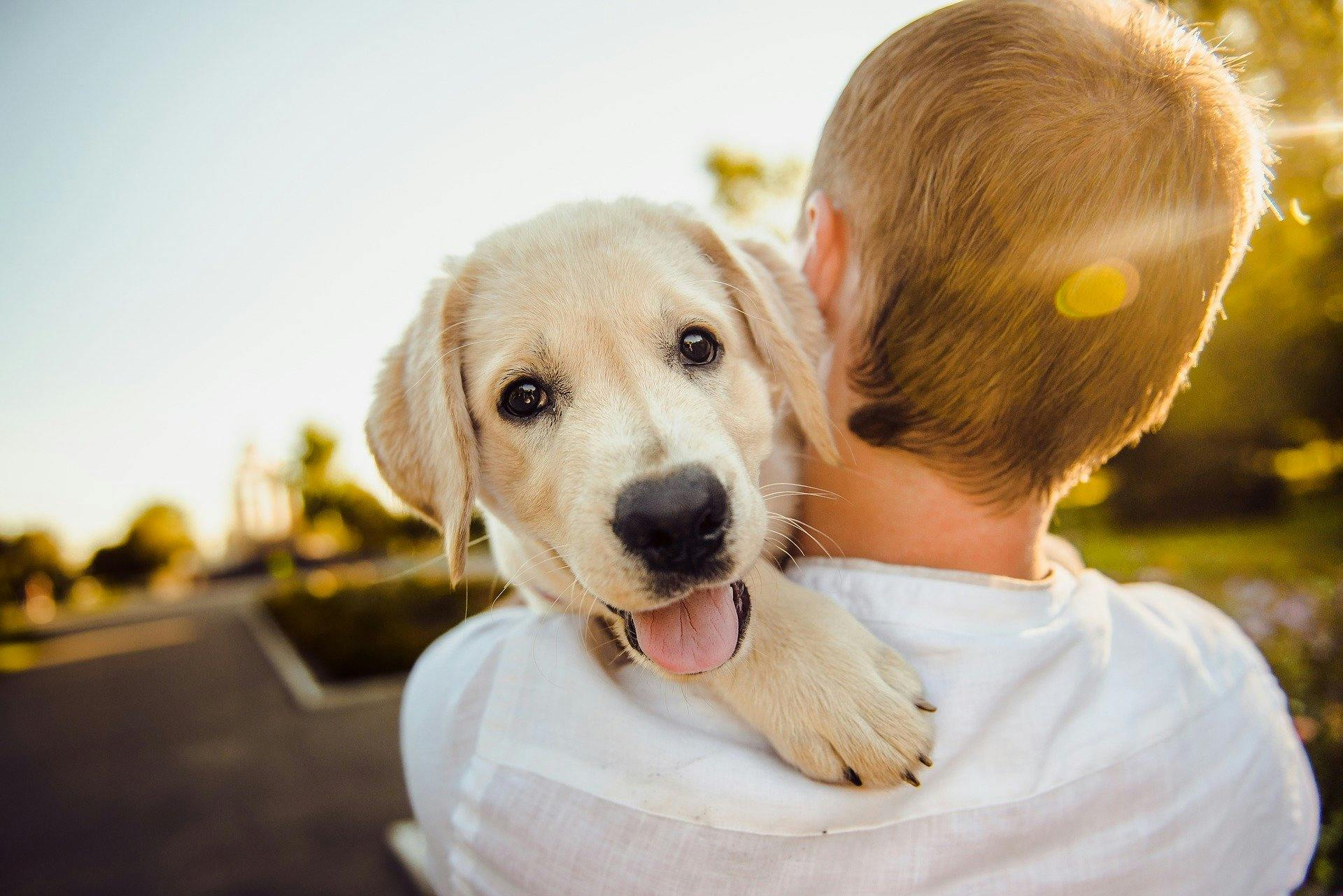 The “New Puppy Owner” Checklist