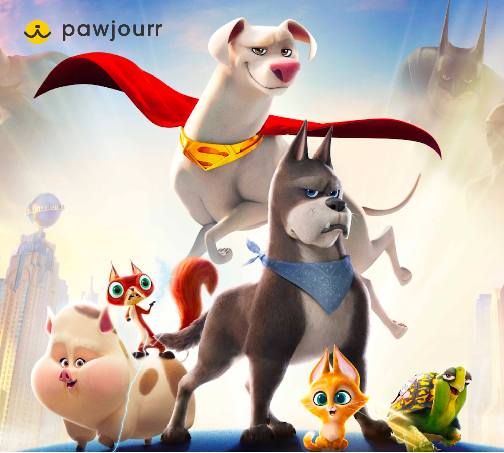 Memorable campaigns only at Pawjourr!